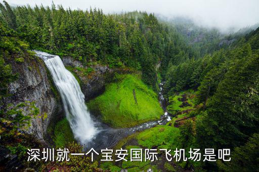 深圳就一個寶安國際飛機場是吧
