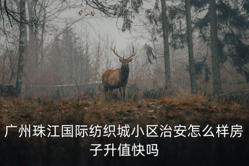 廣州珠江國際紡織城小區(qū)治安怎么樣房子升值快嗎