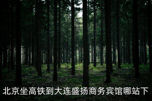北京坐高鐵到大連盛揚商務賓館哪站下