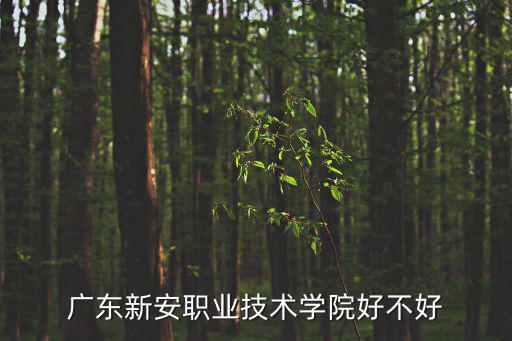 廣東新安職業技術學，廣東新安職業技術學院的地理位置