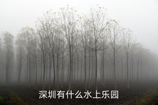 深圳有什么水上樂園