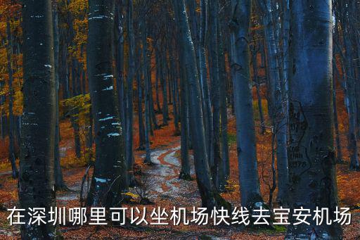 在深圳哪里可以坐機場快線去寶安機場