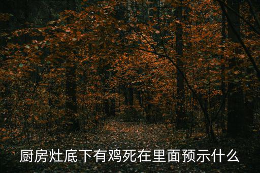 廚房灶底下有雞死在里面預示什么