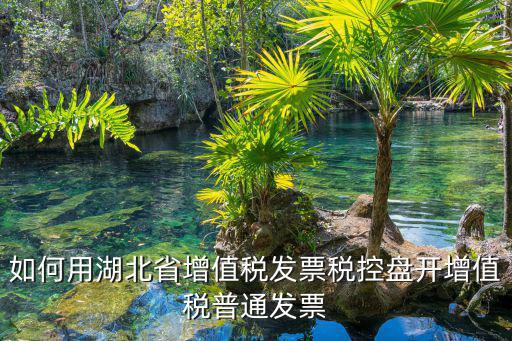 如何用湖北省增值稅發(fā)票稅控盤(pán)開(kāi)增值稅普通發(fā)票