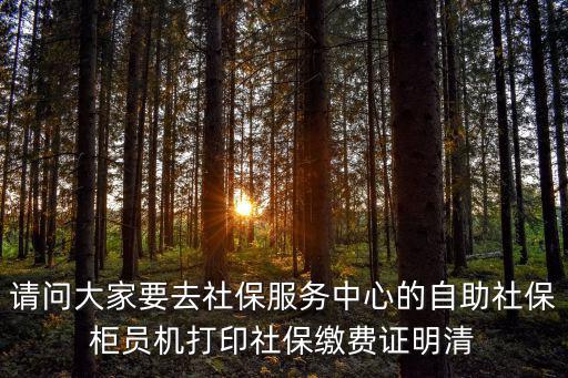 社保自助，請問大家要去社保服務中心的自助社保柜員機打印社保繳費證明清
