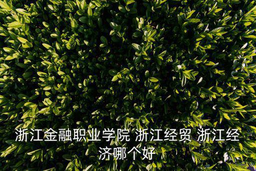 浙江金融職業學院 浙江經貿 浙江經濟哪個好
