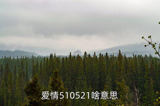 愛情510521啥意思