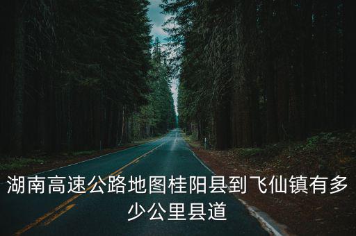 湖南高速公路地圖桂陽縣到飛仙鎮有多少公里縣道