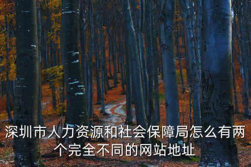 深圳市人力資源和社會保障局怎么有兩個完全不同的網站地址
