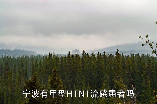 寧波有甲型H1N1流感患者嗎
