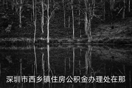 深圳住房公積金管理中心，深圳市西鄉(xiāng)鎮(zhèn)住房公積金辦理處在那