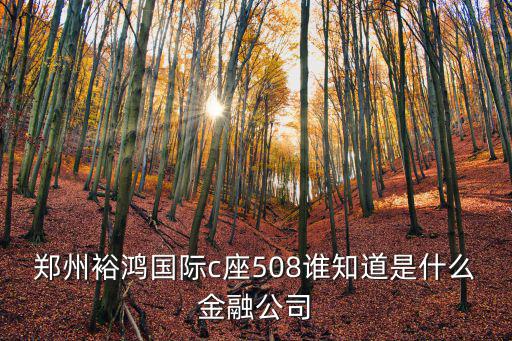 鄭州裕鴻國際c座508誰知道是什么金融公司