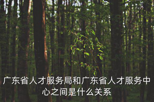 廣東省人才服務局和廣東省人才服務中心之間是什么關系