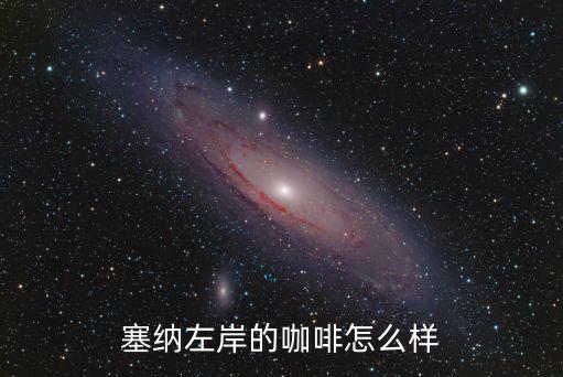塞納左岸的咖啡怎么樣