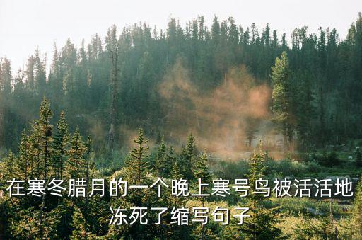 在寒冬臘月的一個晚上寒號鳥被活活地凍死了縮寫句子