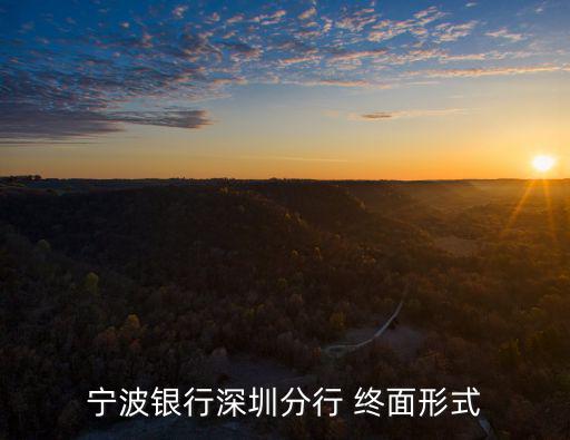 寧波銀行深圳分行 終面形式