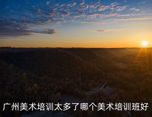 廣州美術(shù)培訓(xùn)太多了哪個美術(shù)培訓(xùn)班好