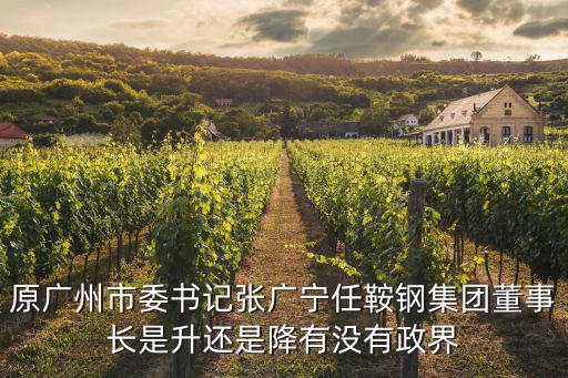 原廣州市委書記張廣寧任鞍鋼集團(tuán)董事長是升還是降有沒有政界