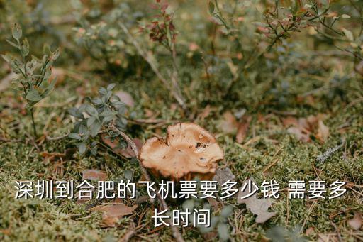 深圳到合肥的飛機(jī)票要多少錢 需要多長(zhǎng)時(shí)間