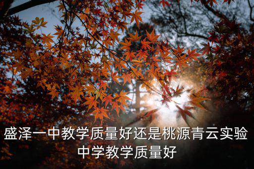 盛澤一中教學(xué)質(zhì)量好還是桃源青云實(shí)驗(yàn)中學(xué)教學(xué)質(zhì)量好