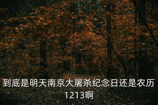 到底是明天南京大屠殺紀念日還是農歷1213啊