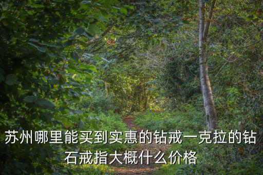 蘇州哪里能買到實惠的鉆戒一克拉的鉆石戒指大概什么價格