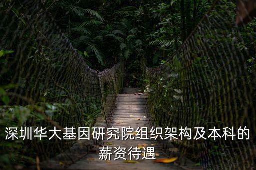 深圳華大基因研究院組織架構及本科的薪資待遇