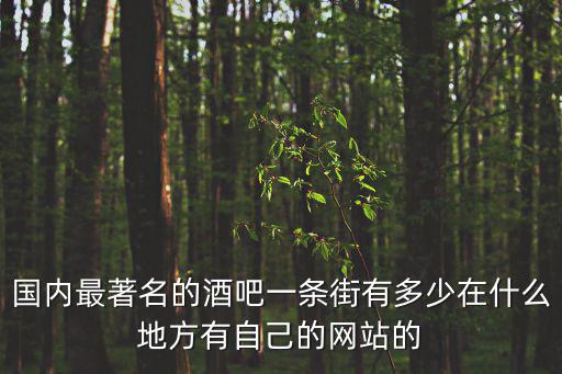 國內最著名的酒吧一條街有多少在什么地方有自己的網(wǎng)站的
