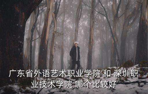 廣東省外語藝術(shù)職業(yè)學(xué)院 和 深圳職業(yè)技術(shù)學(xué)院 哪個(gè)比較好
