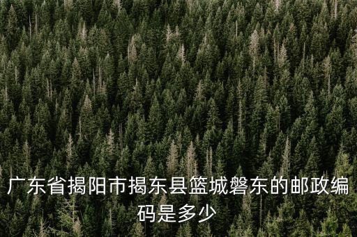 廣東省揭陽(yáng)市揭東縣籃城磐東的郵政編碼是多少