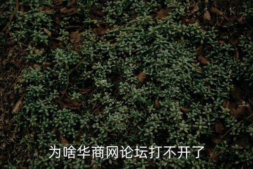為啥華商網論壇打不開了