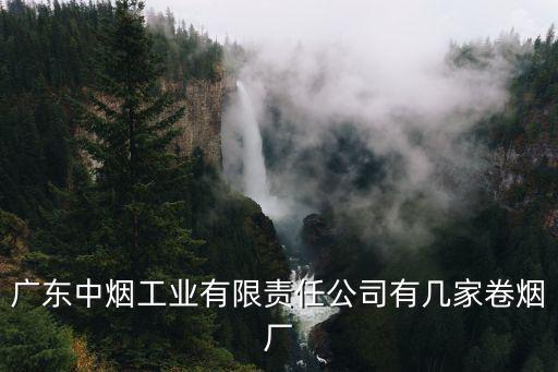 廣東中煙工業(yè)有限責(zé)任公司有幾家卷煙廠