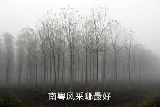 廣東南粵風采，南粵風采哪最好