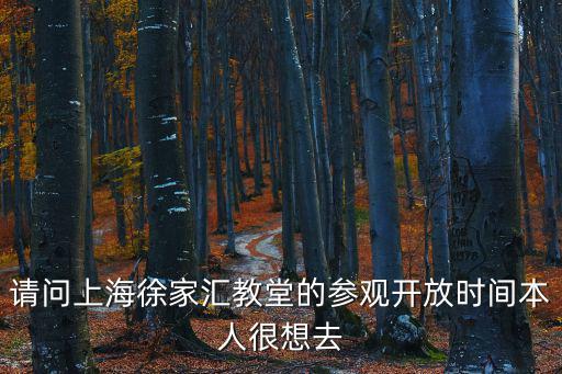徐家匯教堂，上海徐家匯大教堂在哪里