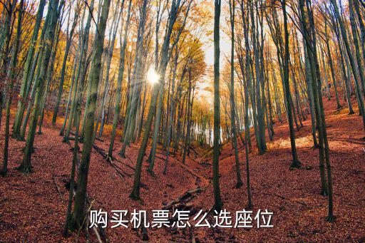 機票選座，訂好的機票怎么值機選座