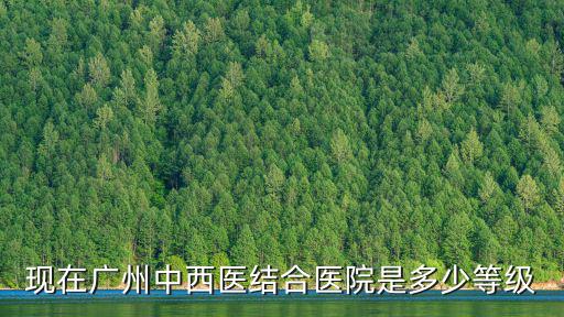 現(xiàn)在廣州中西醫(yī)結(jié)合醫(yī)院是多少等級