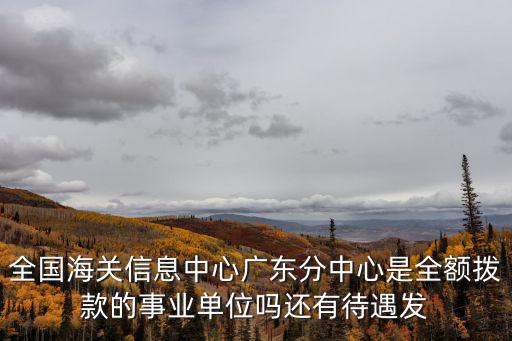 全國海關信息中心廣東分中心是全額撥款的事業單位嗎還有待遇發