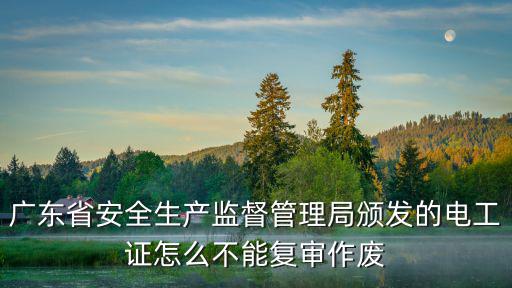 廣東省安全生產監督管理局頒發的電工證怎么不能復審作廢
