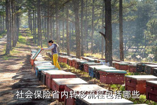 社會保險省內轉移流程包括哪些