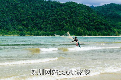 深圳網站seo哪家快