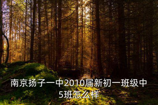 南京市揚子第一中學，南京揚子一中2010屆新初一班級中5班怎么樣