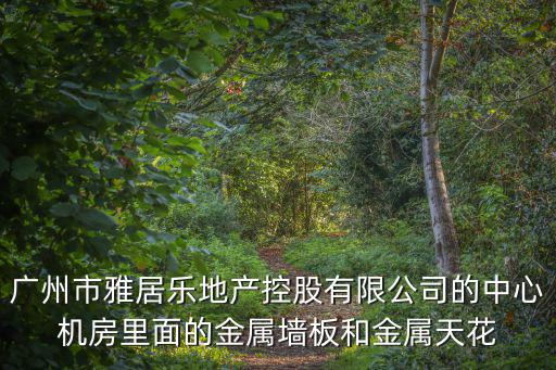 廣州雅居樂，廣州市雅居樂地產控股有限公司的中心機房里面的金屬墻板和金屬天花
