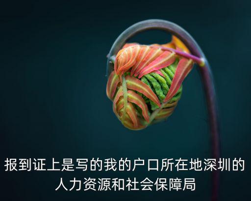 深圳市人力資源和社會保障局網站，我是深圳戶口的應屆畢業生報到的地址是深圳市人力資源與社會保