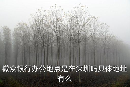 微眾銀行辦公地點是在深圳嗎具體地址有么