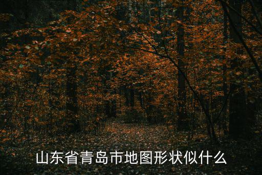 山東省青島市地圖形狀似什么