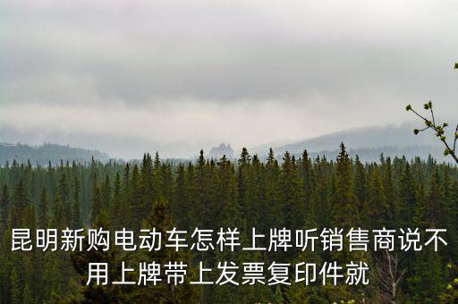 昆明新購電動車怎樣上牌聽銷售商說不用上牌帶上發票復印件就