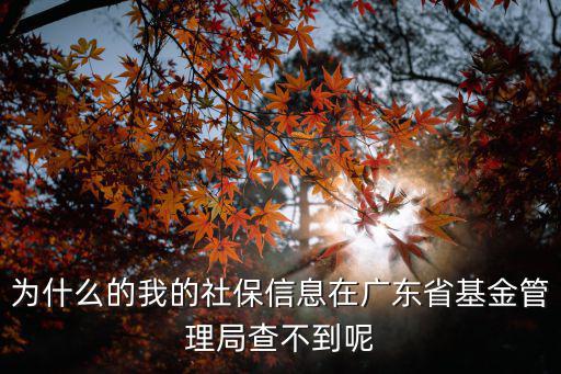 為什么的我的社保信息在廣東省基金管理局查不到呢