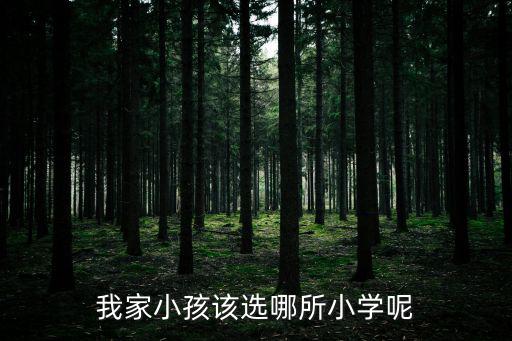 我家小孩該選哪所小學(xué)呢