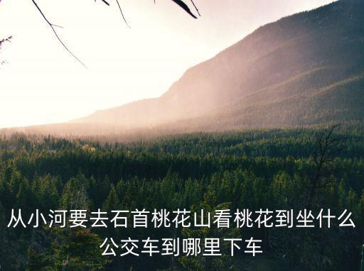 從小河要去石首桃花山看桃花到坐什么公交車到哪里下車