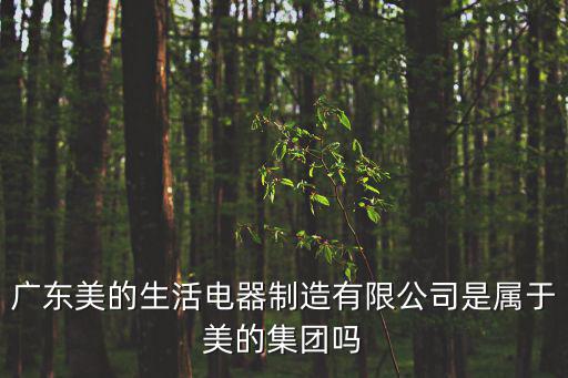 廣東美的生活電器制造有限公司是屬于美的集團嗎